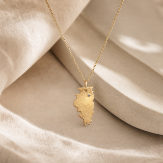 Gold chain necklace with a Illinois-shaped pendant and a small crystal accent.