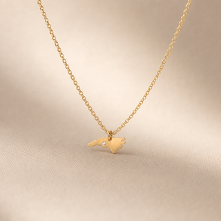 Gold chain necklace with a North Carolina-shaped pendant and a small crystal accent.