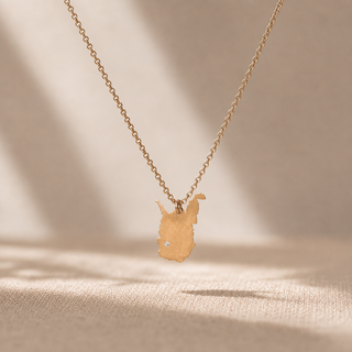 Gold chain necklace with a West Virginia-shaped pendant and a small crystal accent.