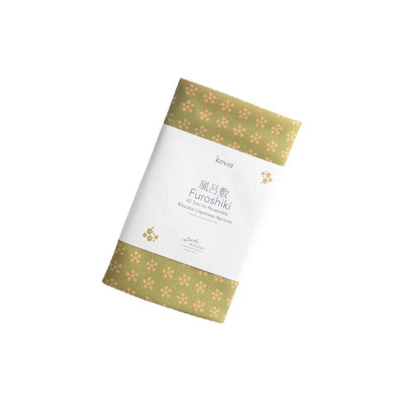 Kyoto Bundle: Travel to Kyoto